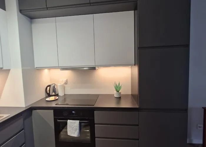 Szarych Szeregow Elegant * 华沙